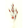 RAMO NATALIZIO H72 BIANCO/ROSSO