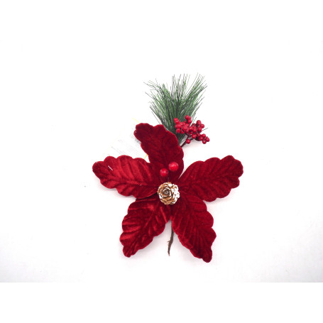 STELLA NATALE VELLUTATA C/PINO E BACCHE