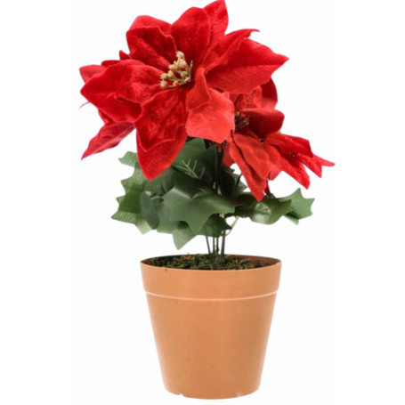 STELLA NATALE C/VASO M.038