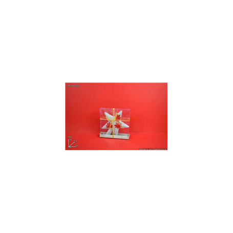PUNTALE STELLA 20CM C/FIORI MERL.ROSSO