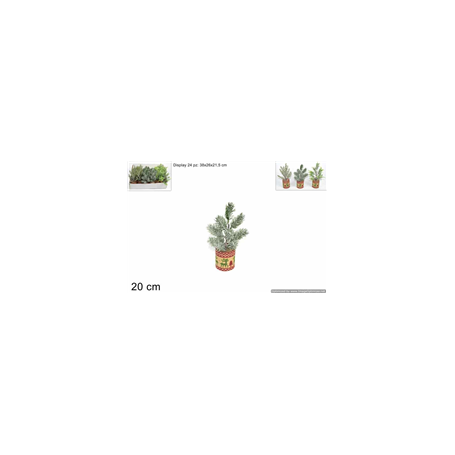 PIANTINA RAMI INNEV.VASO JUTA