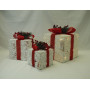 PACCO REGALO TINSEL BIANCO 25X25